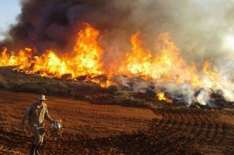 Incêndios no Pantanal crescem 2.025% em outubro em relação ao mesmo mês em 2018