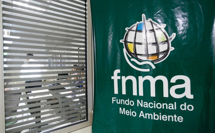 Bolsonaro exclui participação da sociedade civil de conselho do Fundo Nacional do Meio Ambiente