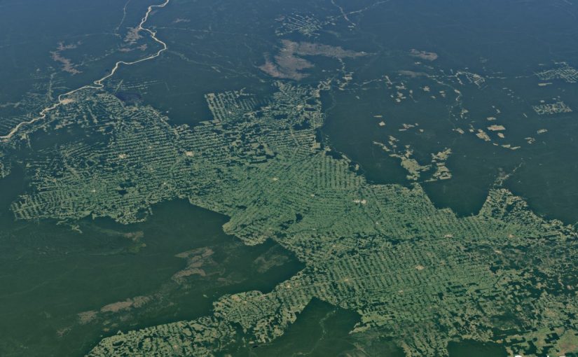 Rondônia perde 70 mil km² de floresta em quase 30 anos, aponta Mapbiomas