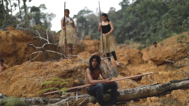 Pandemia vai permitir aceleração do desmatamento na Amazônia, prevê consultoria