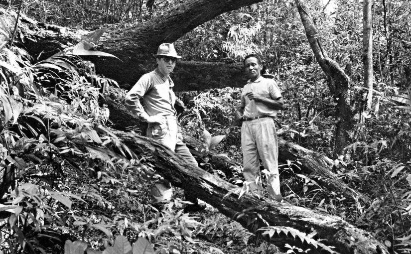 A estrada aberta por fundadores de SP para vencer paredão da Serra do Mar